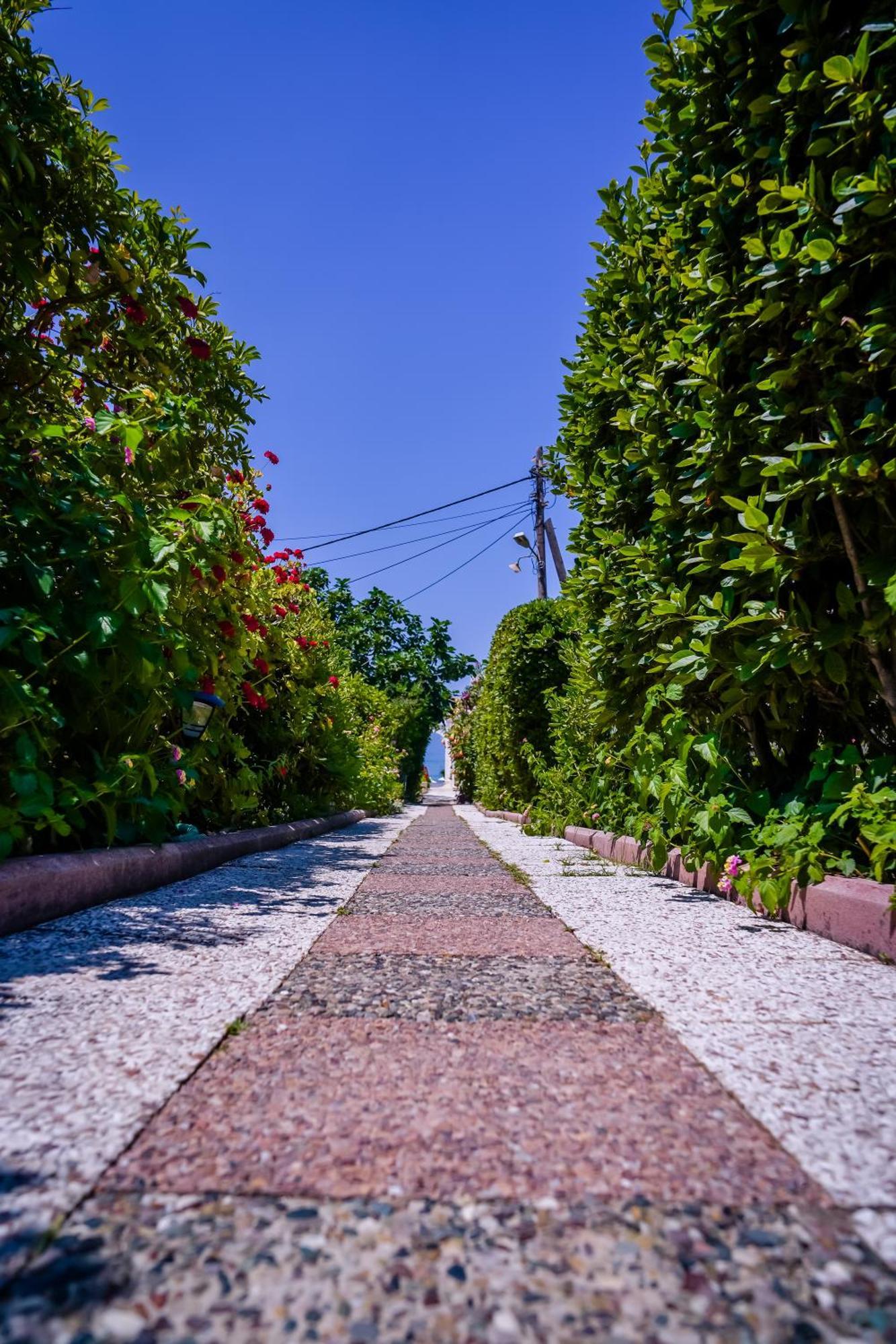 Elena'S Seaside Apartments & Studios Agios Gordios  Exterior photo
